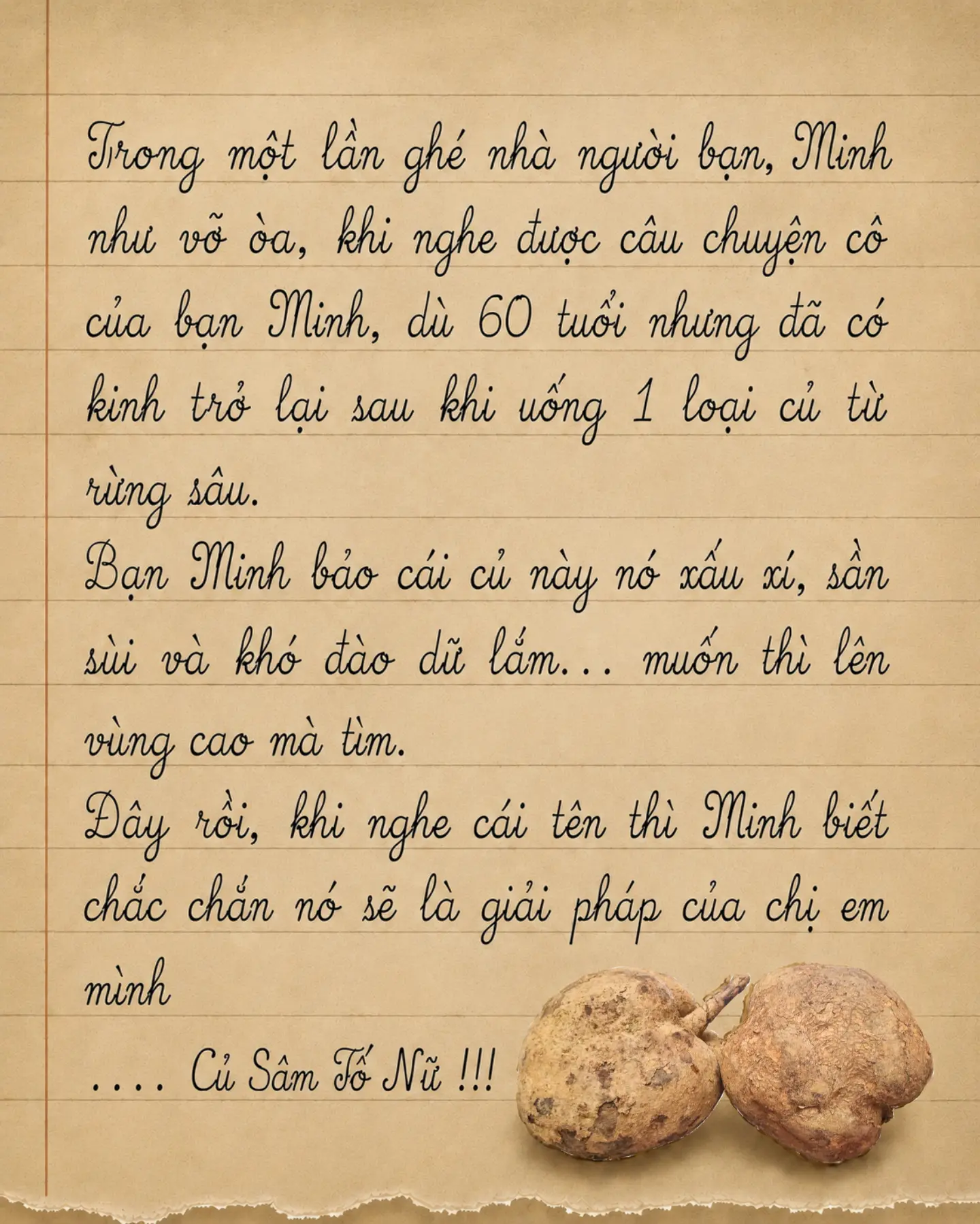 Câu chuyện củ sâm tố nữ giúp cô bạn Minh 60 tuổi có kinh trở lại